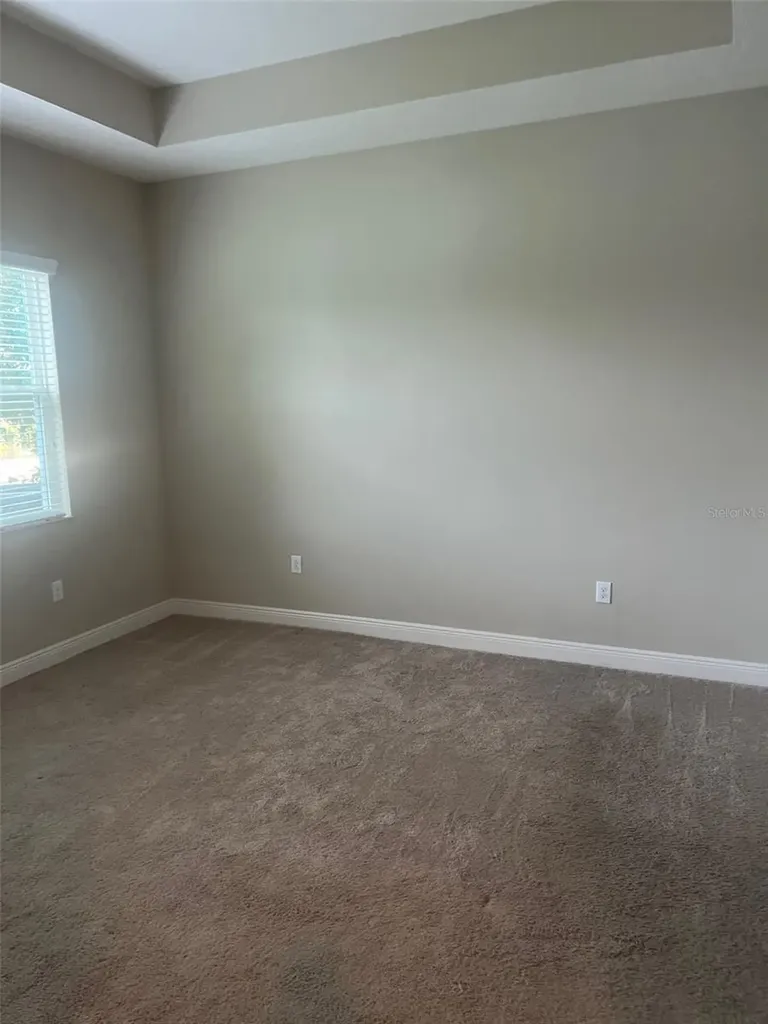 30447 Ceasar Park Drive Wesley Chapel FL 33543