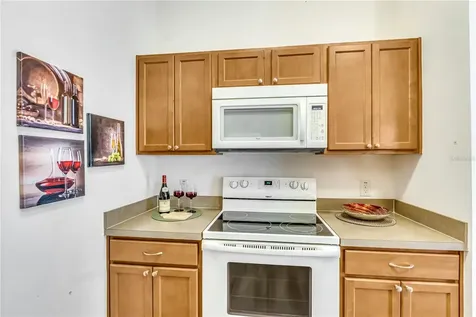1806 Queensbury Terrace The Villages FL 32162