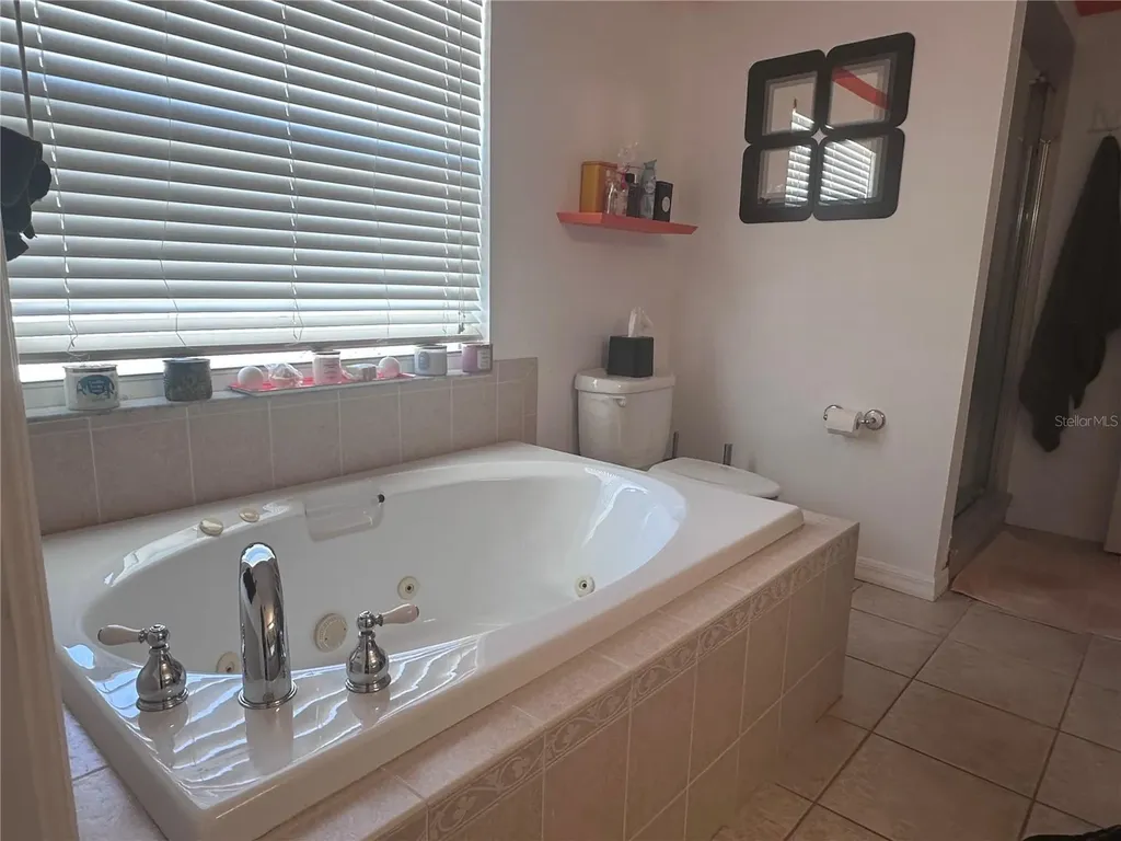 10632 Lake Vista Drive Seminole FL 33772
