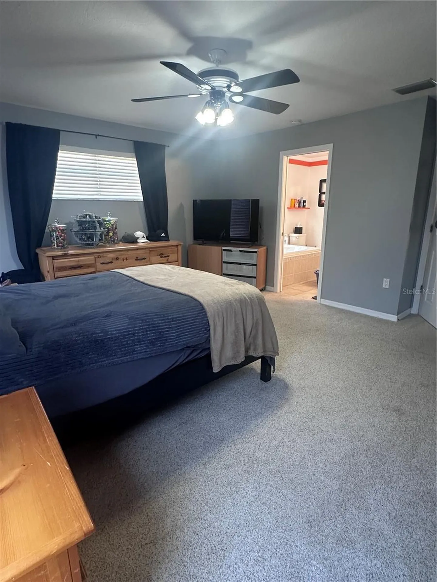 10632 Lake Vista Drive Seminole FL 33772