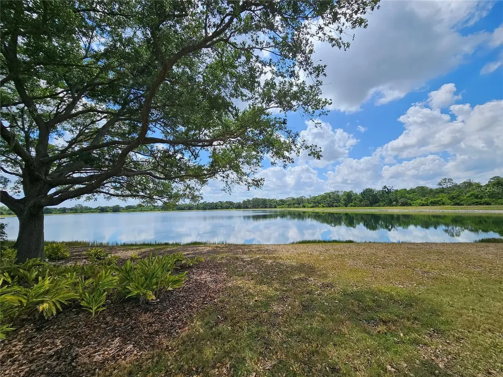 12250 Hollybush Terrace Lakewood Ranch FL 34202
