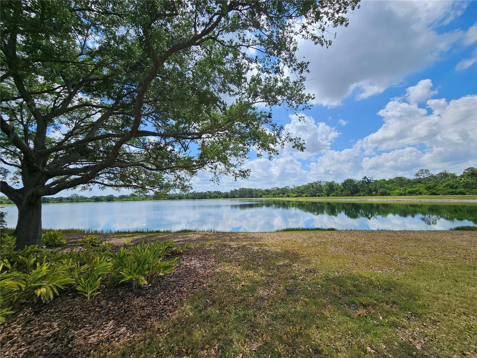 12250 Hollybush Terrace Lakewood Ranch FL 34202