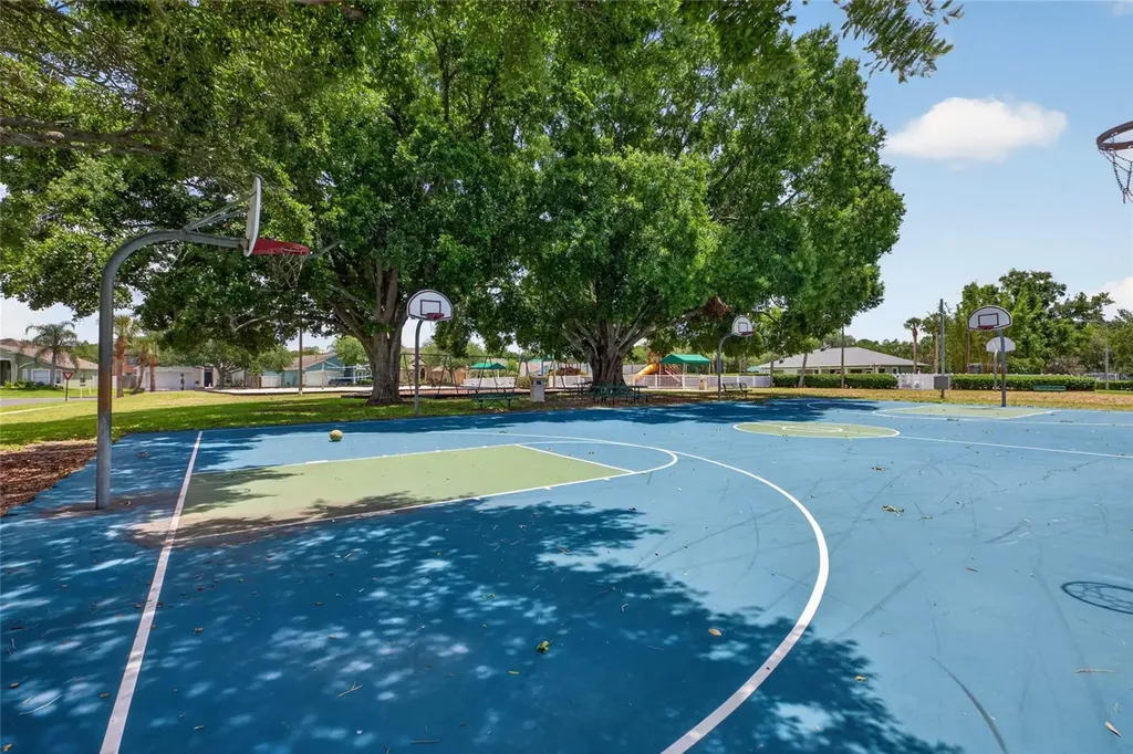 4845 Barchetta Drive Land O Lakes FL 34639