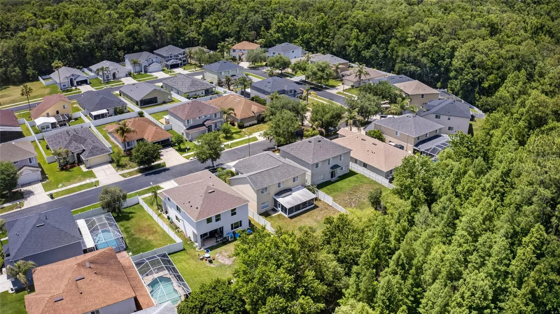 4845 Barchetta Drive Land O Lakes FL 34639