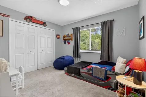 4845 Barchetta Drive Land O Lakes FL 34639