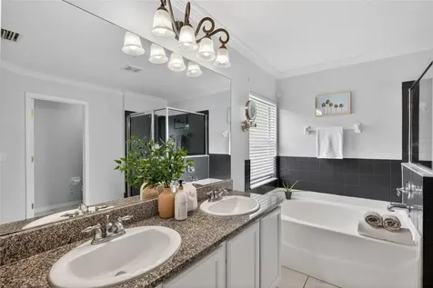 4845 Barchetta Drive Land O Lakes FL 34639