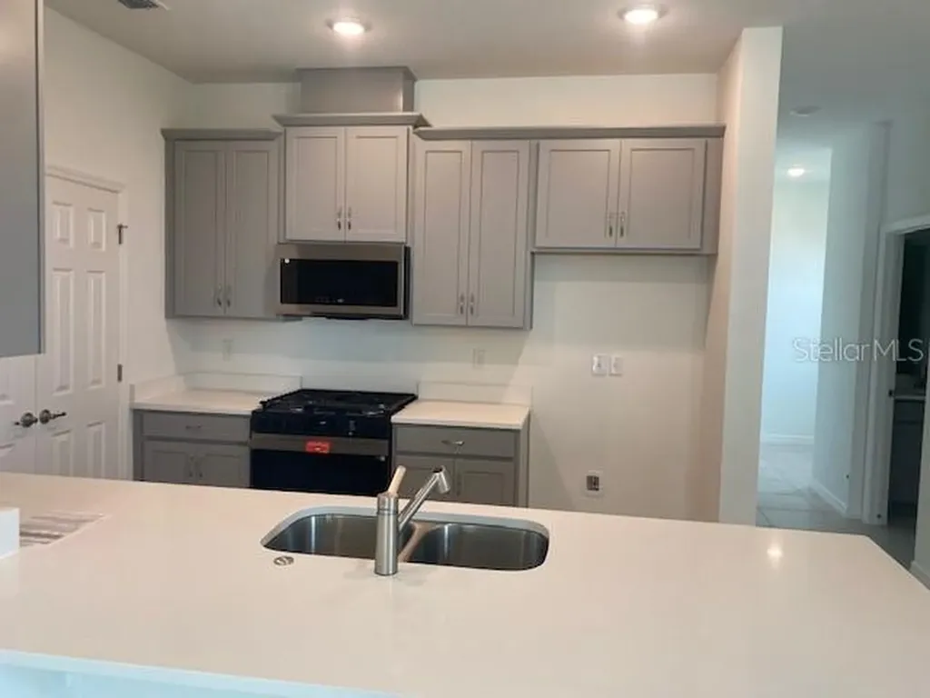 27329 African Fish Court Howey In The Hills FL 34737