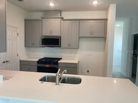 27329 African Fish Court Howey In The Hills FL 34737