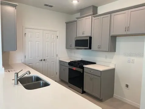 27329 African Fish Court Howey In The Hills FL 34737