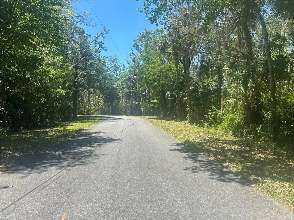 650 Miller Creek Road Crystal River FL 34428