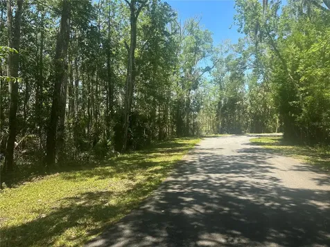 650 Miller Creek Road Crystal River FL 34428