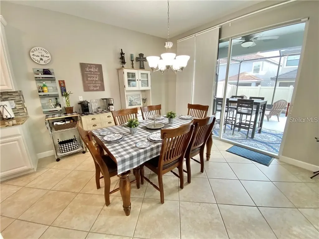 1041 Oliveto Verdi Court Brandon FL 33511