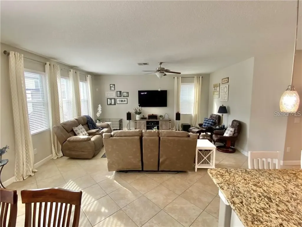 1041 Oliveto Verdi Court Brandon FL 33511