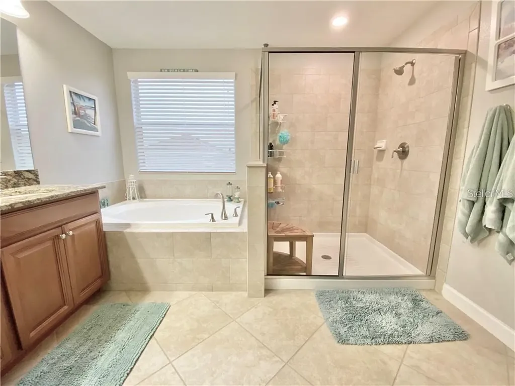 1041 Oliveto Verdi Court Brandon FL 33511
