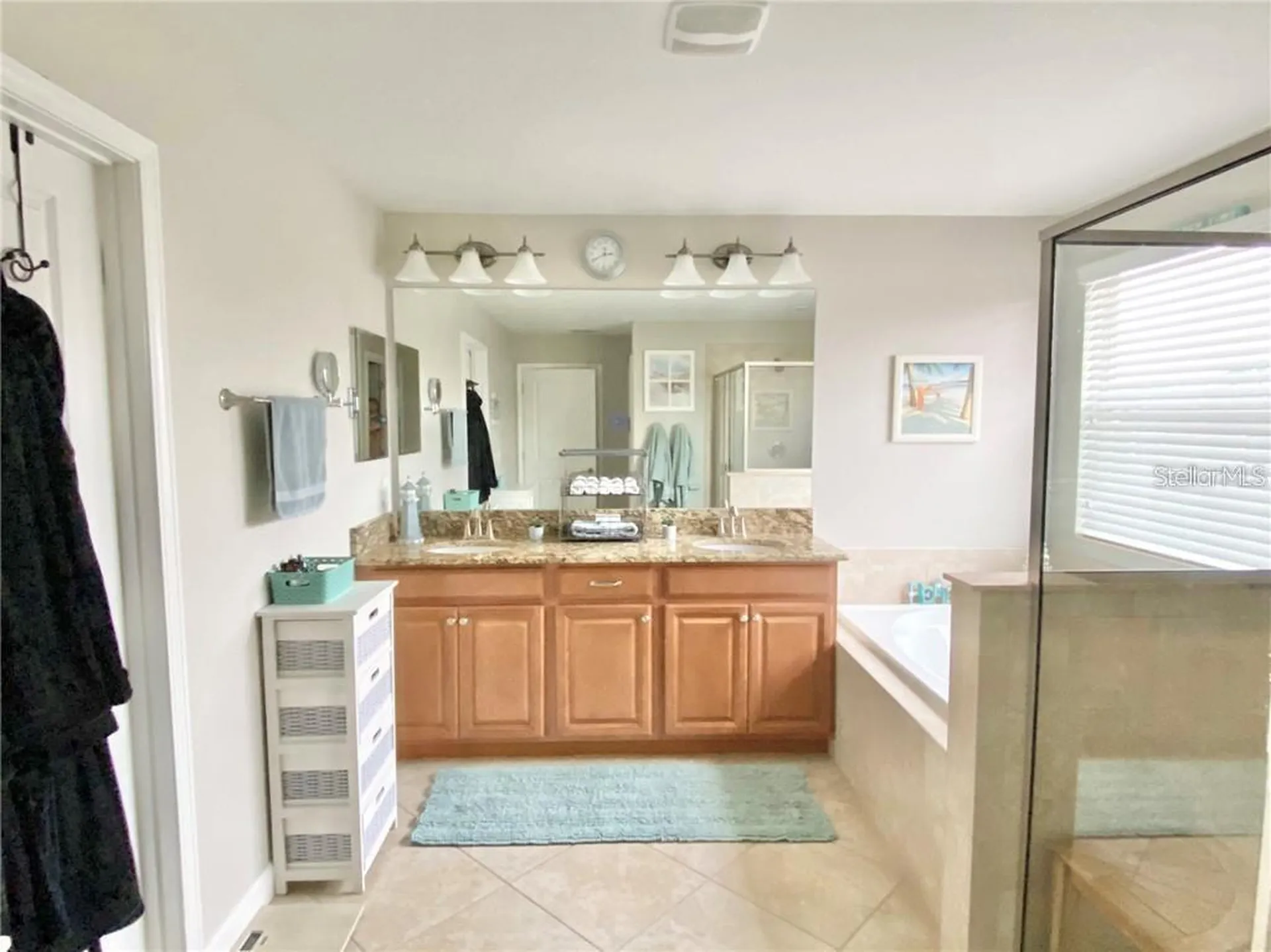 1041 Oliveto Verdi Court Brandon FL 33511
