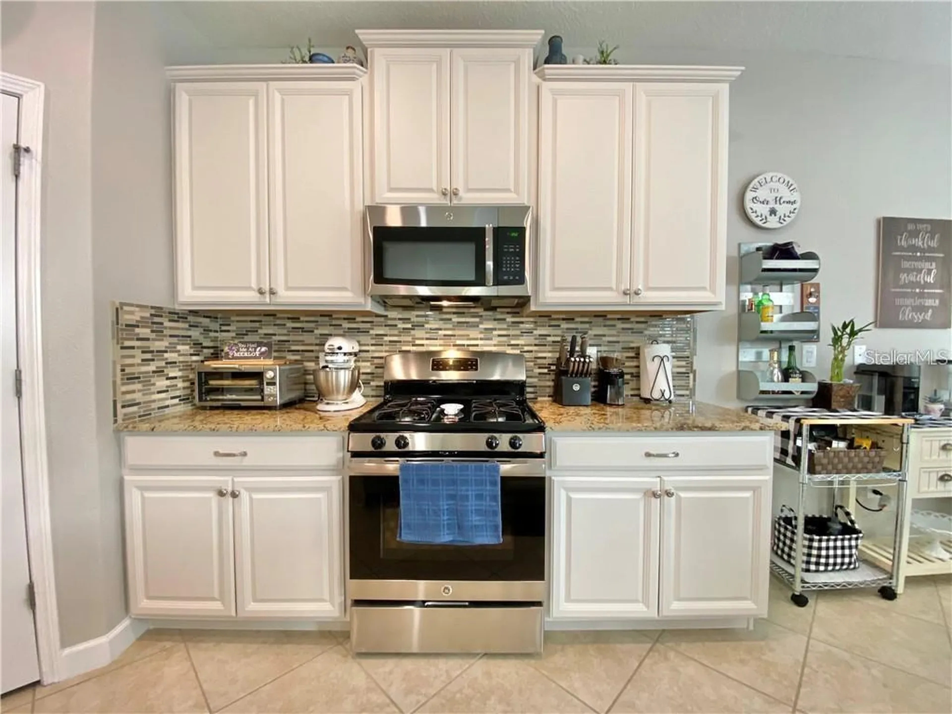1041 Oliveto Verdi Court Brandon FL 33511