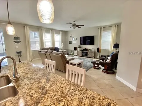 1041 Oliveto Verdi Court Brandon FL 33511