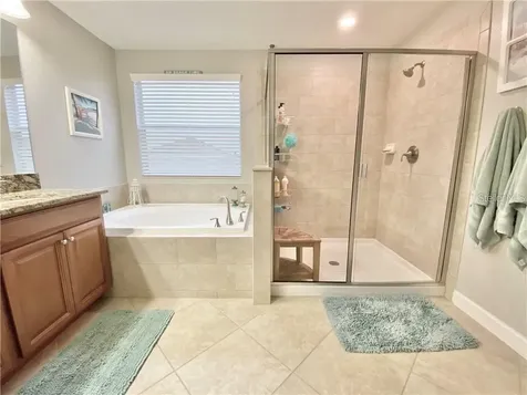 1041 Oliveto Verdi Court Brandon FL 33511