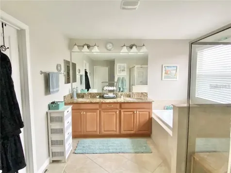 1041 Oliveto Verdi Court Brandon FL 33511