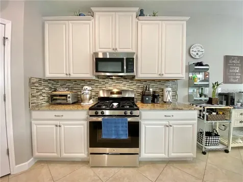 1041 Oliveto Verdi Court Brandon FL 33511