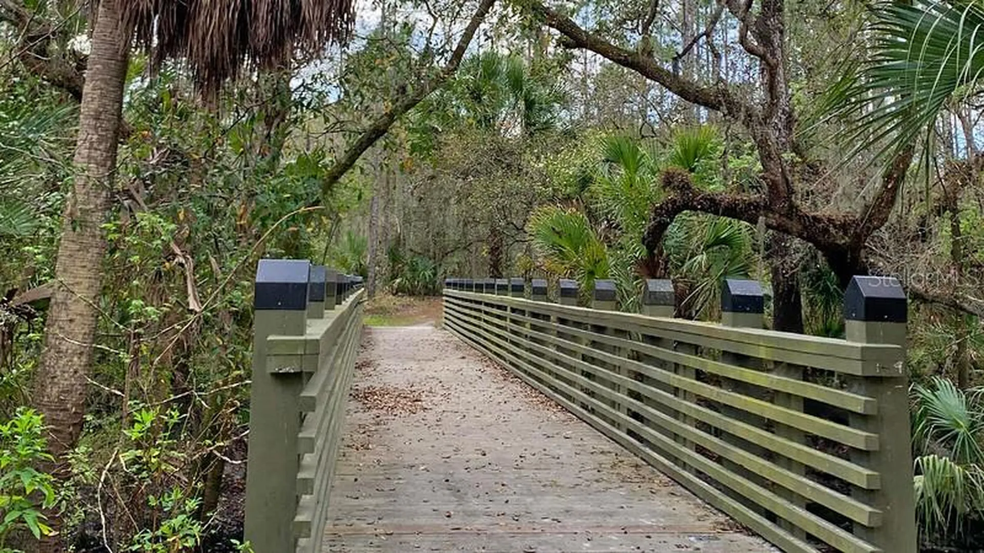 5901 Wrenwater Drive Lithia FL 33547