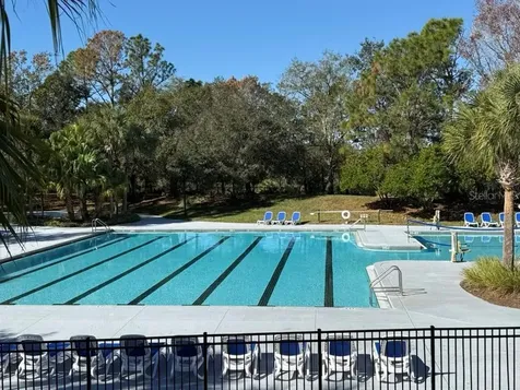 5901 Wrenwater Drive Lithia FL 33547