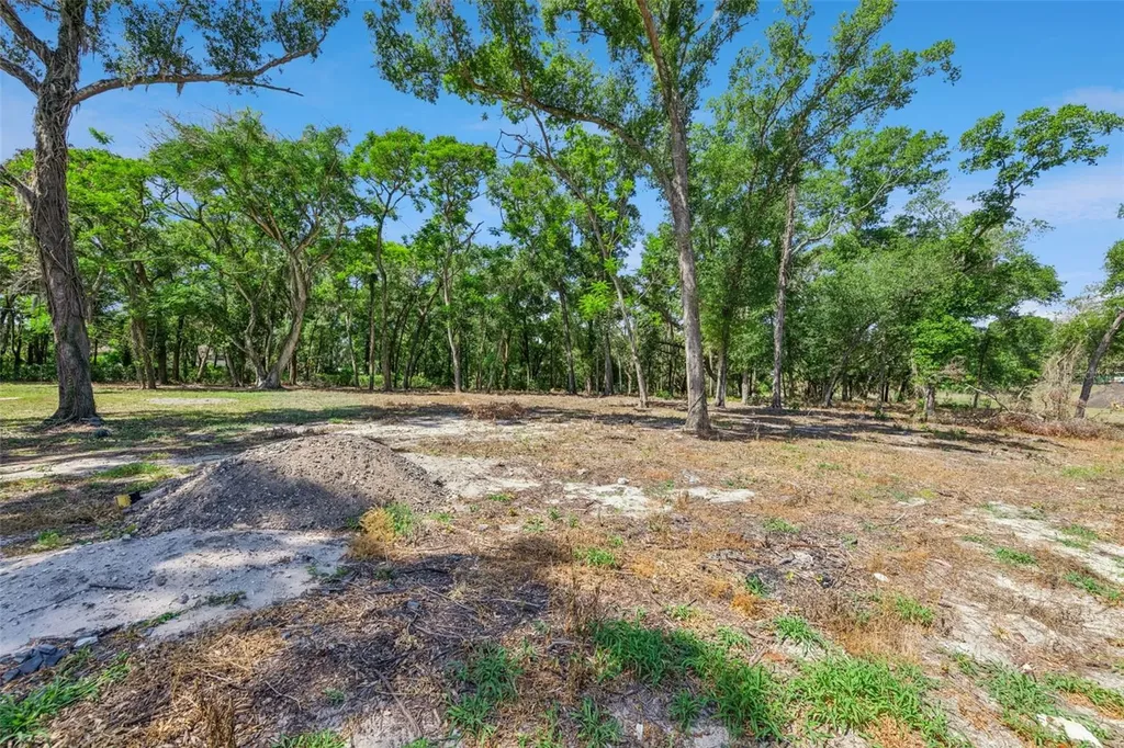 3932 White Heron Drive Orlando FL 32808