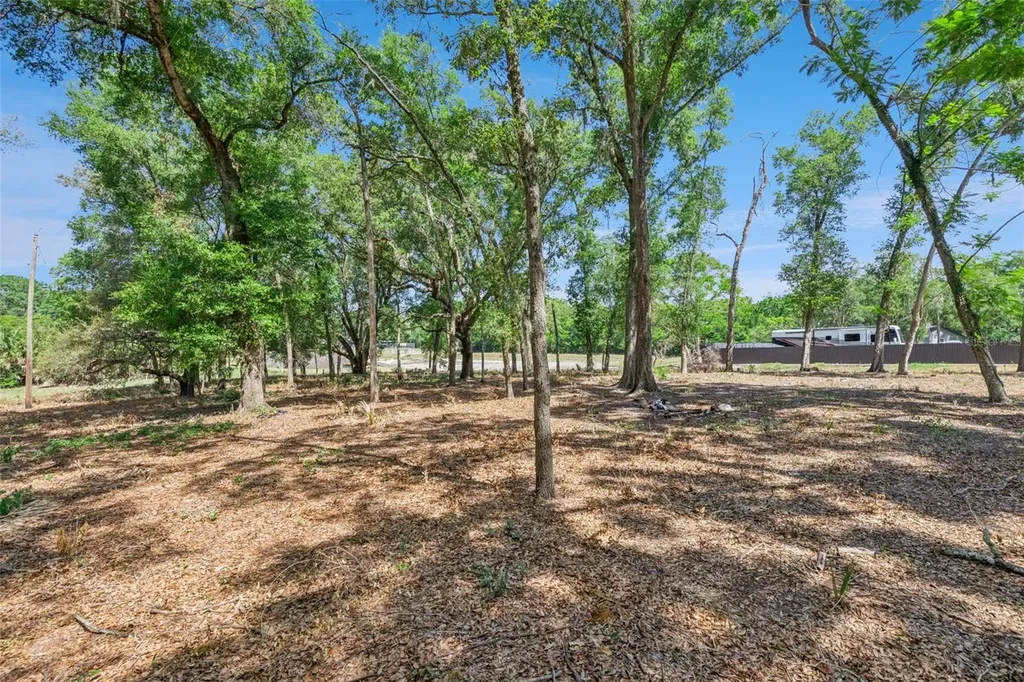 3932 White Heron Drive Orlando FL 32808