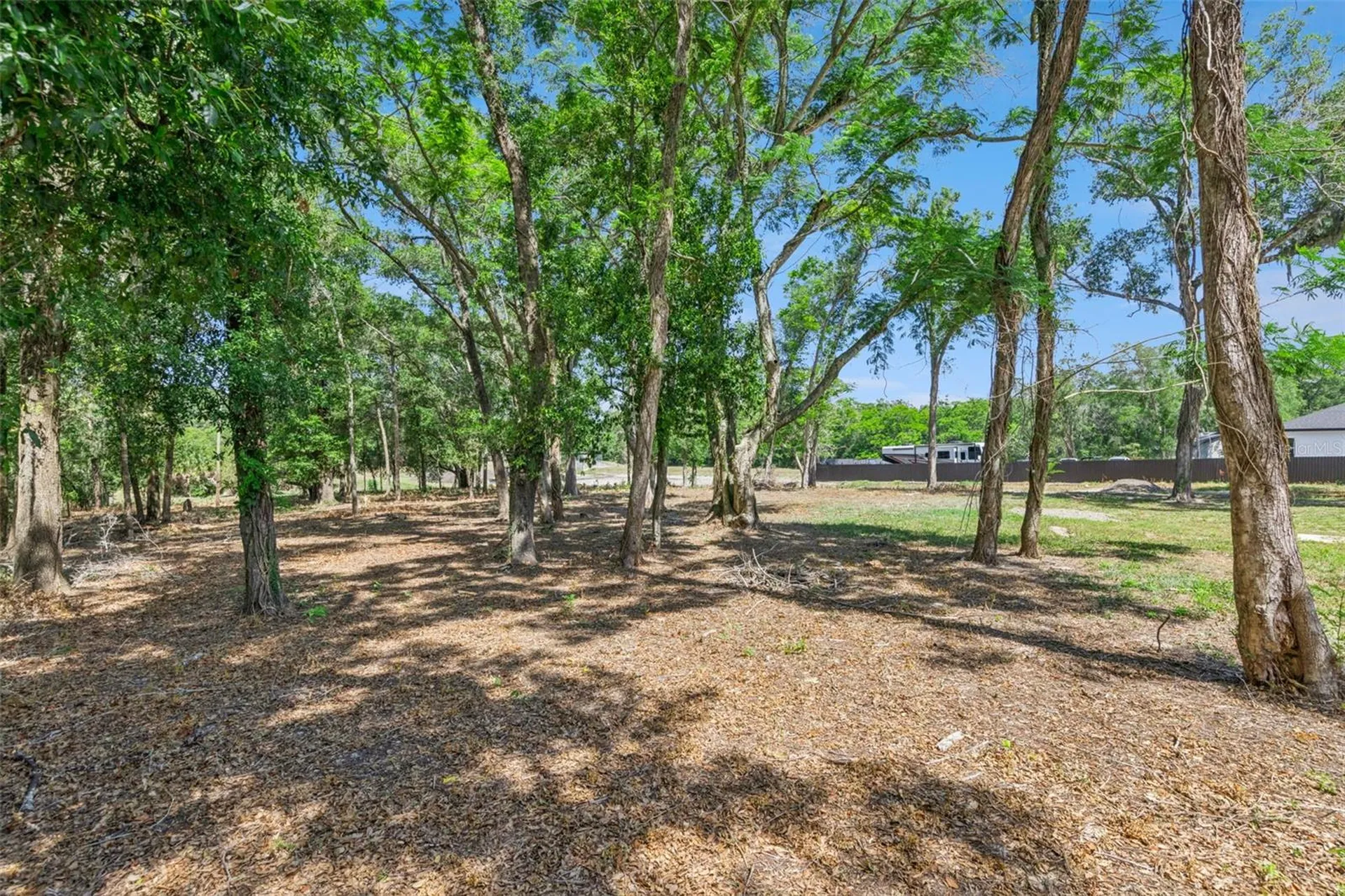 3932 White Heron Drive Orlando FL 32808