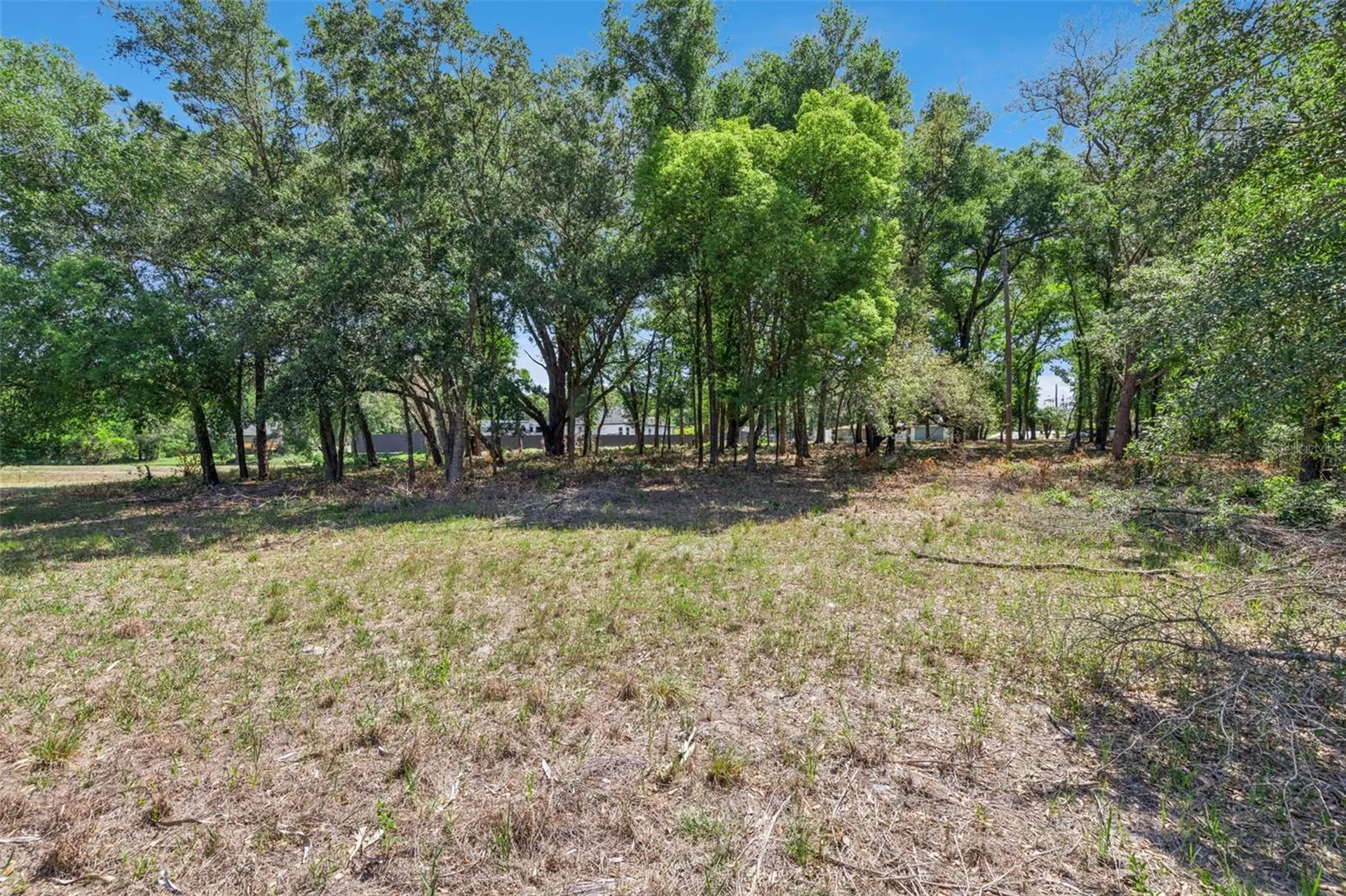 3932 White Heron Drive Orlando FL 32808
