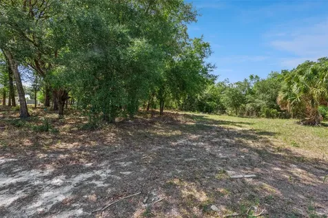 3932 White Heron Drive Orlando FL 32808
