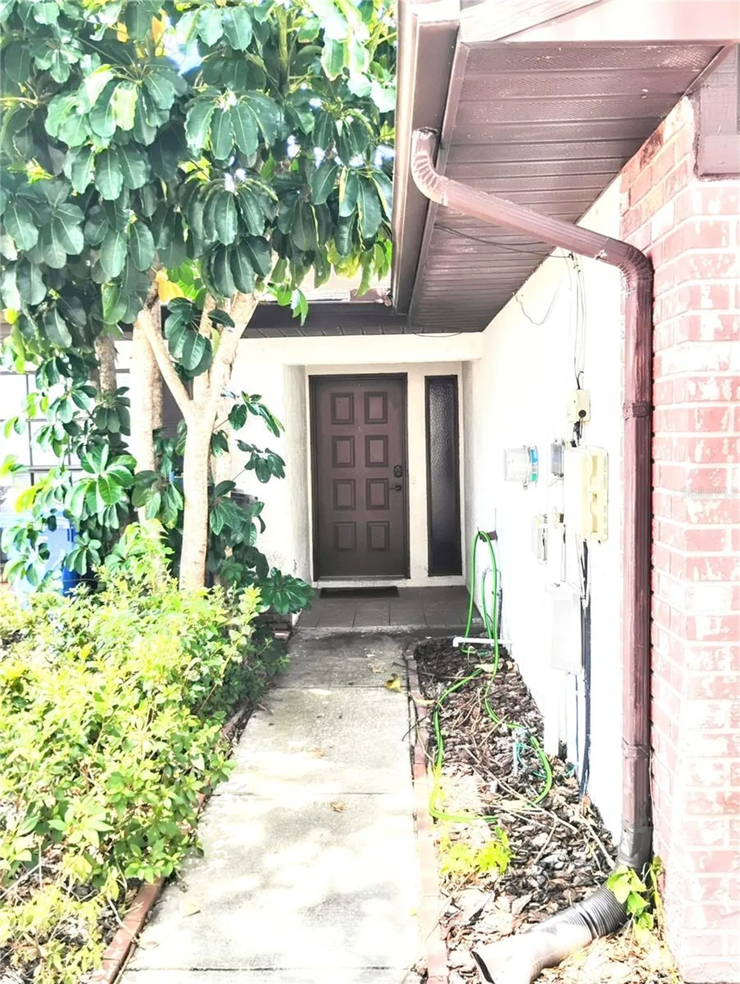 2012 Dover Court Oldsmar FL 34677