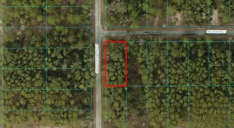 Tbd Lot 13 SW South Court Dunnellon FL 34431