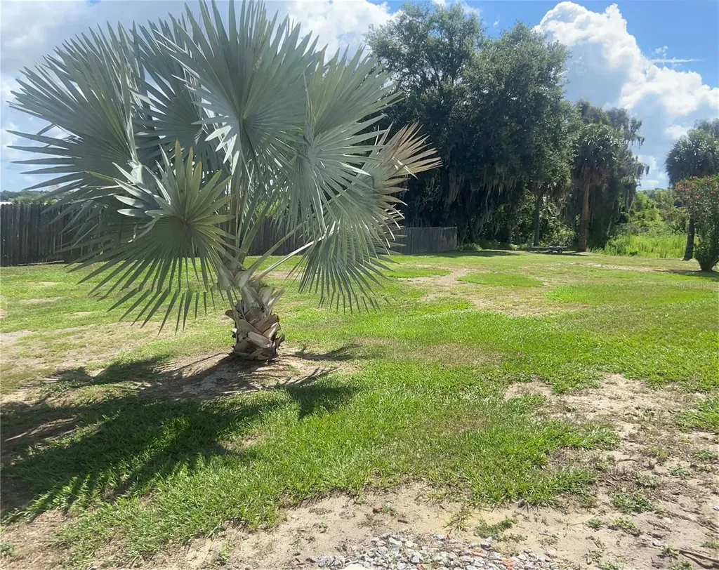 91 Woodland Drive Haines City FL 33844