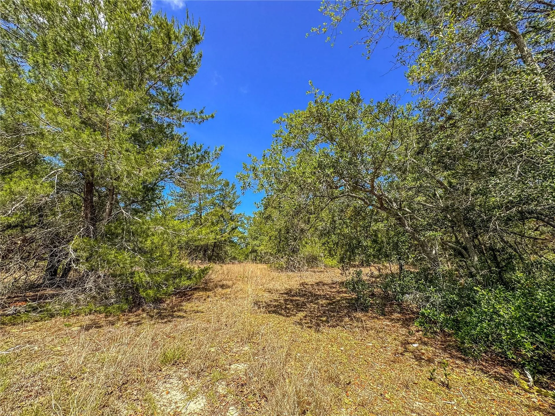 8431 Madison Street Brooksville FL 34613