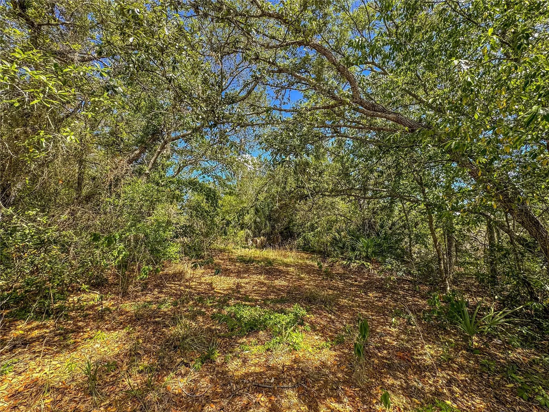 8431 Madison Street Brooksville FL 34613