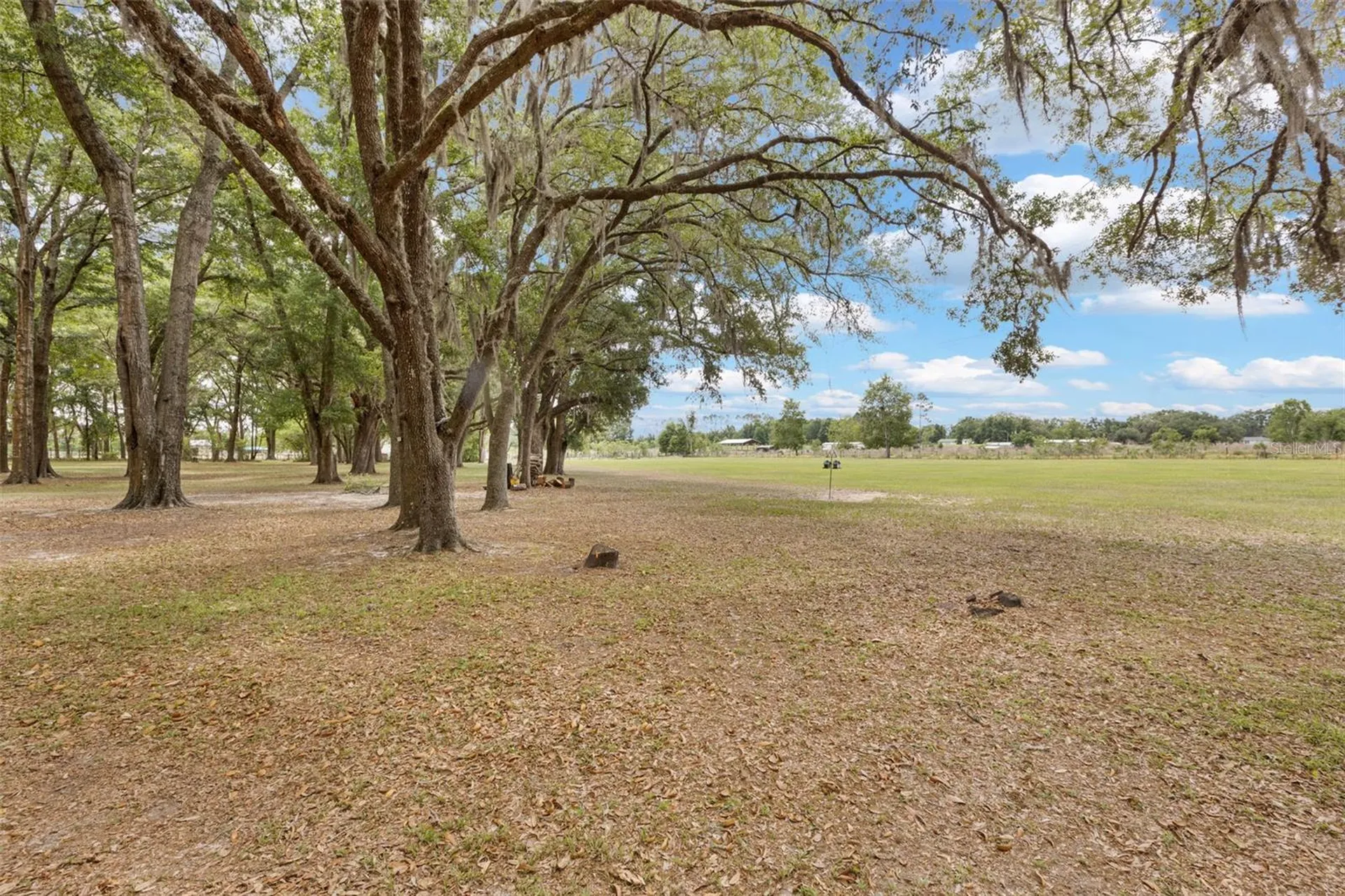 6689 SE 55th Street Trenton FL 32693