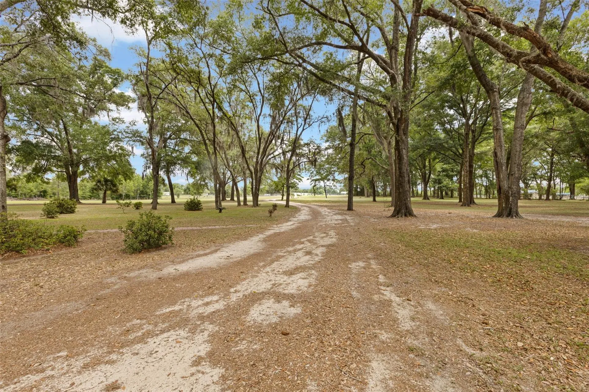 6689 SE 55th Street Trenton FL 32693