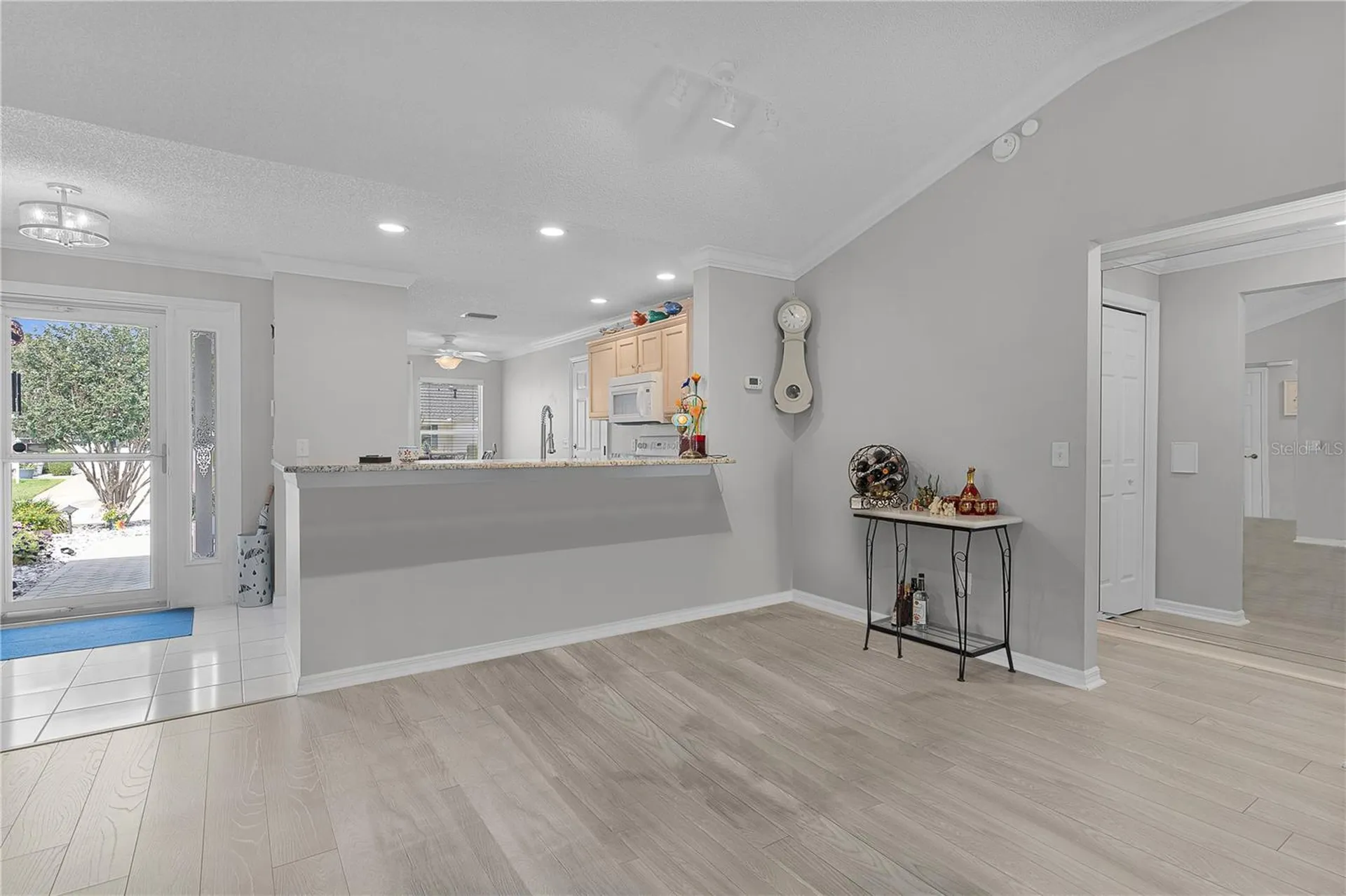 16689 SE 78th Live Oak Avenue The Villages FL 32162