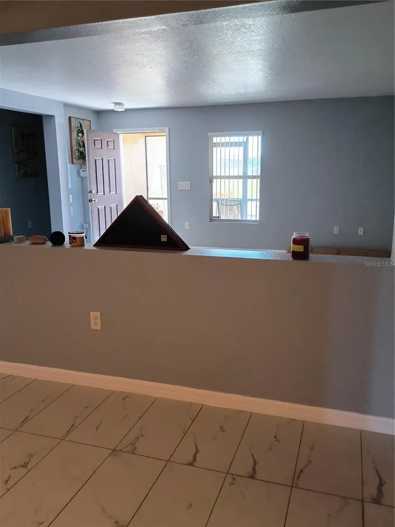 5220 Butterfly Shell Drive Apollo Beach FL 33572