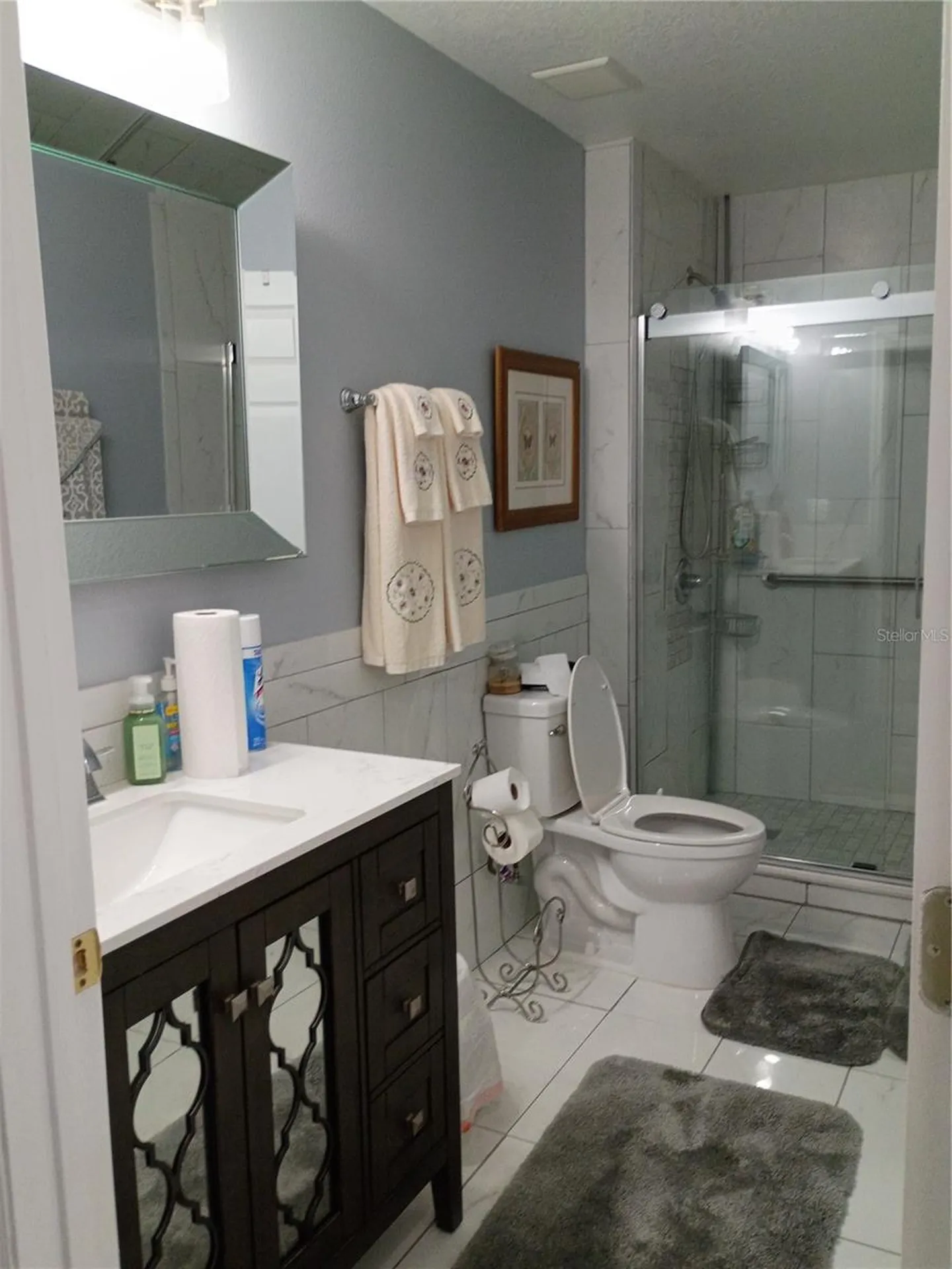 5220 Butterfly Shell Drive Apollo Beach FL 33572