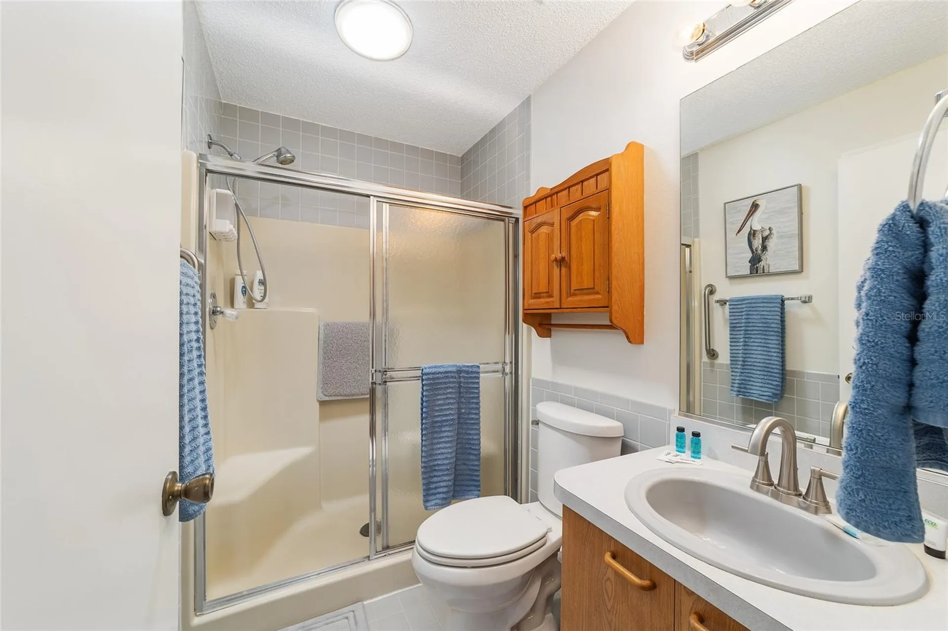 1721 Sonora Street The Villages FL 32159