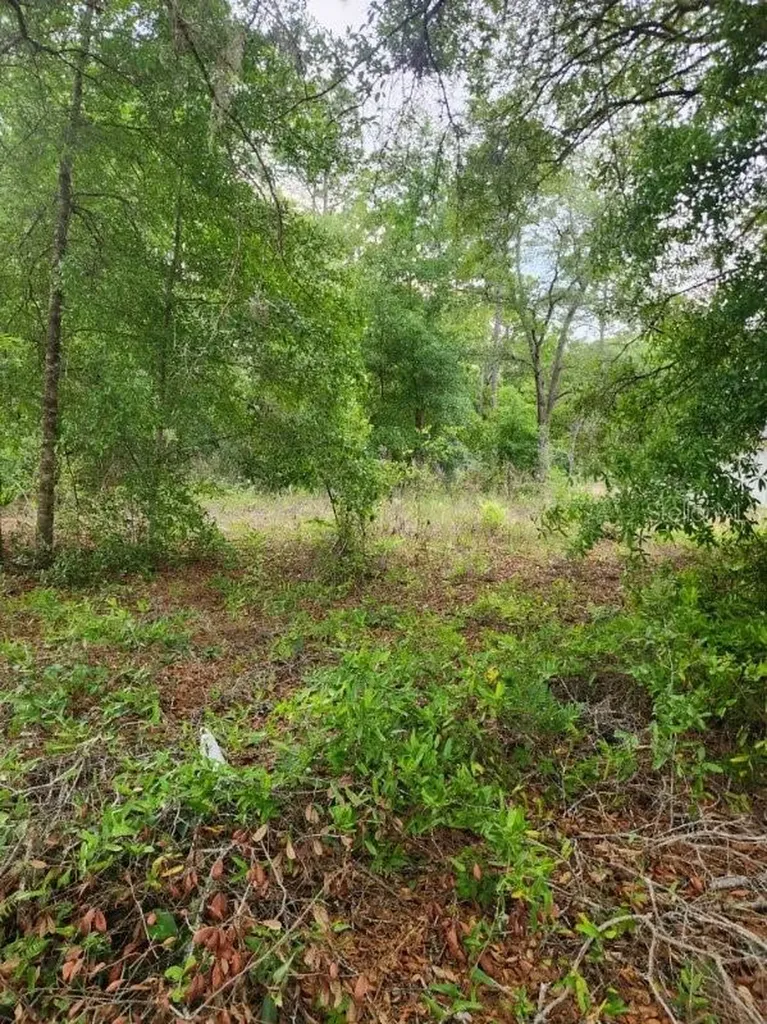 00 Marion Oaks Pass Ocala FL 34473