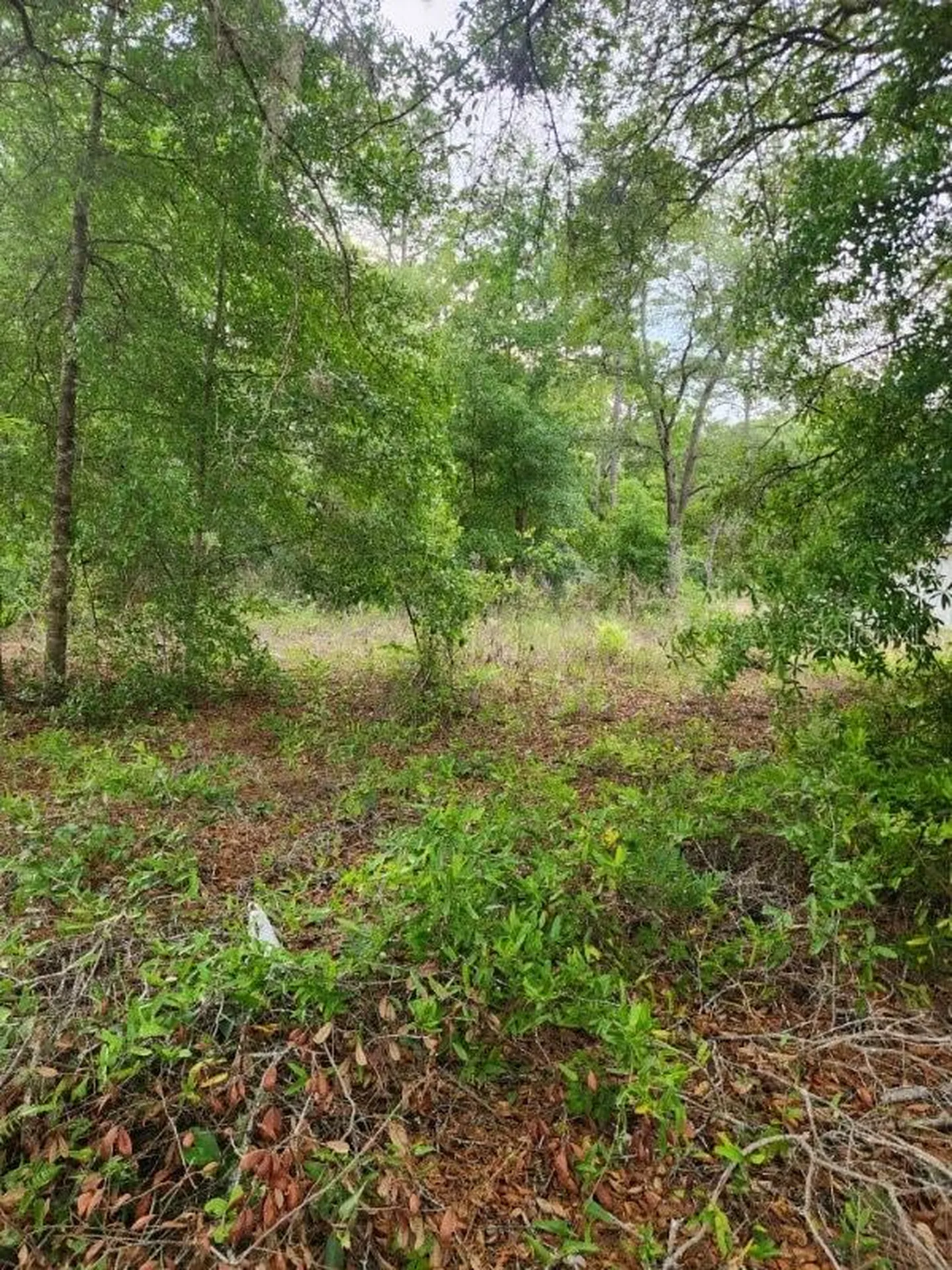 00 Marion Oaks Pass Ocala FL 34473