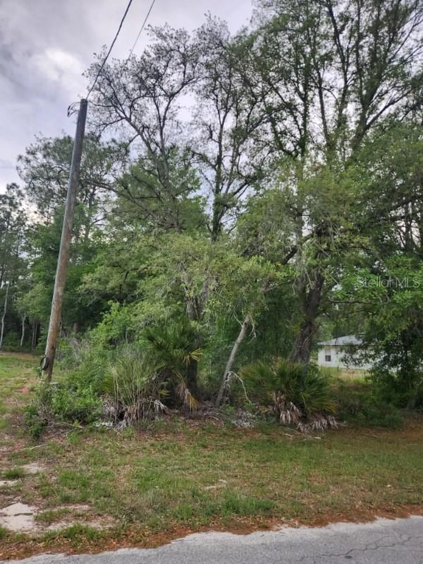 00 Marion Oaks Pass Ocala FL 34473