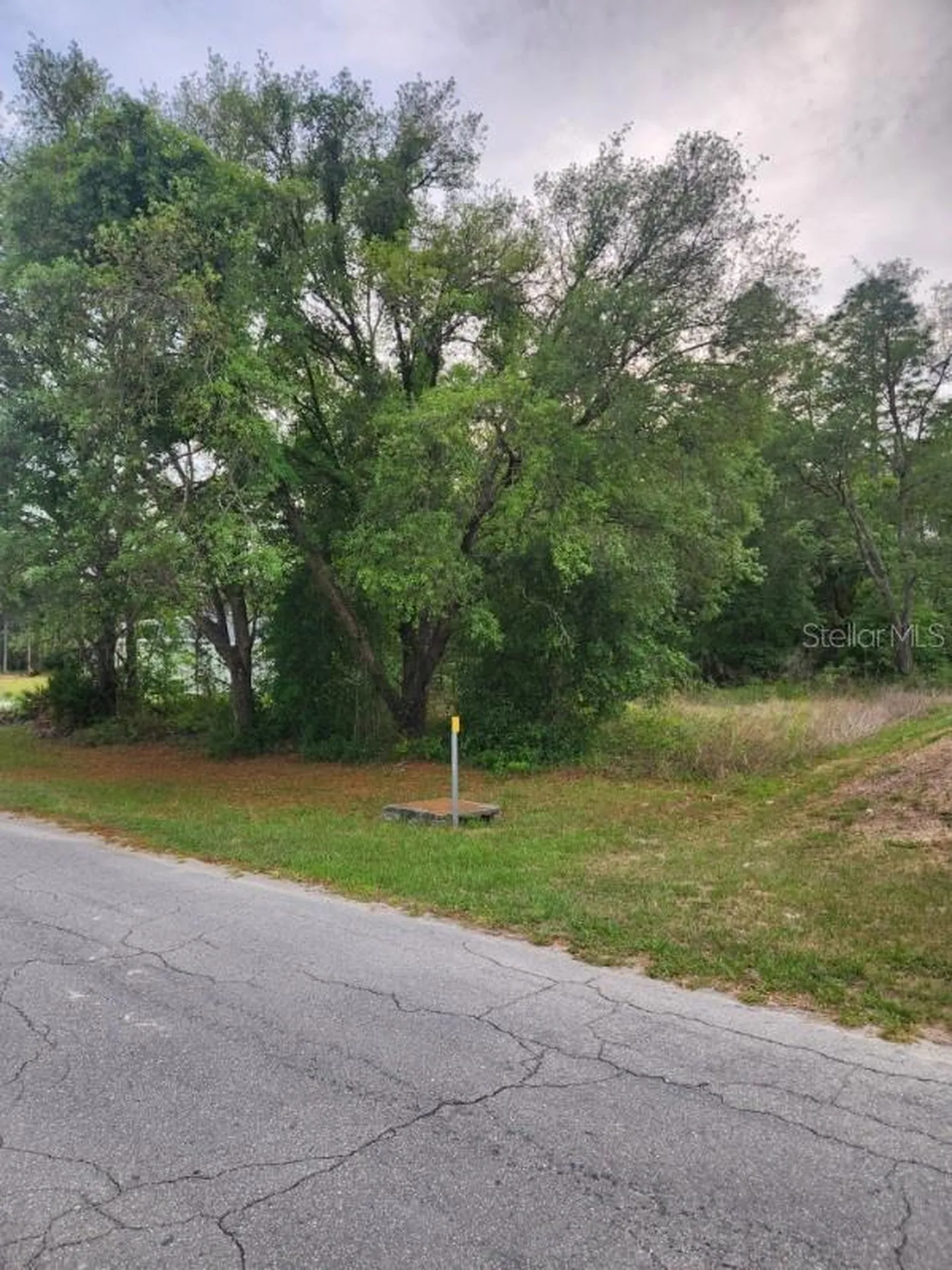 00 Marion Oaks Pass Ocala FL 34473