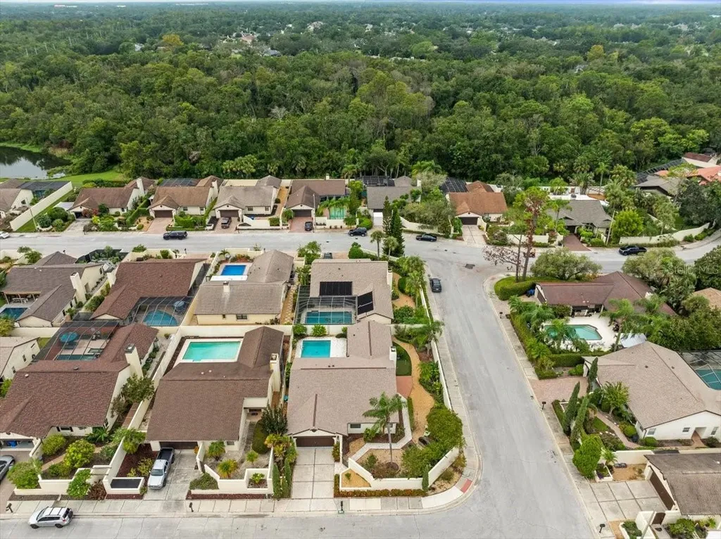 13512 Sobrado Drive Tampa FL 33624