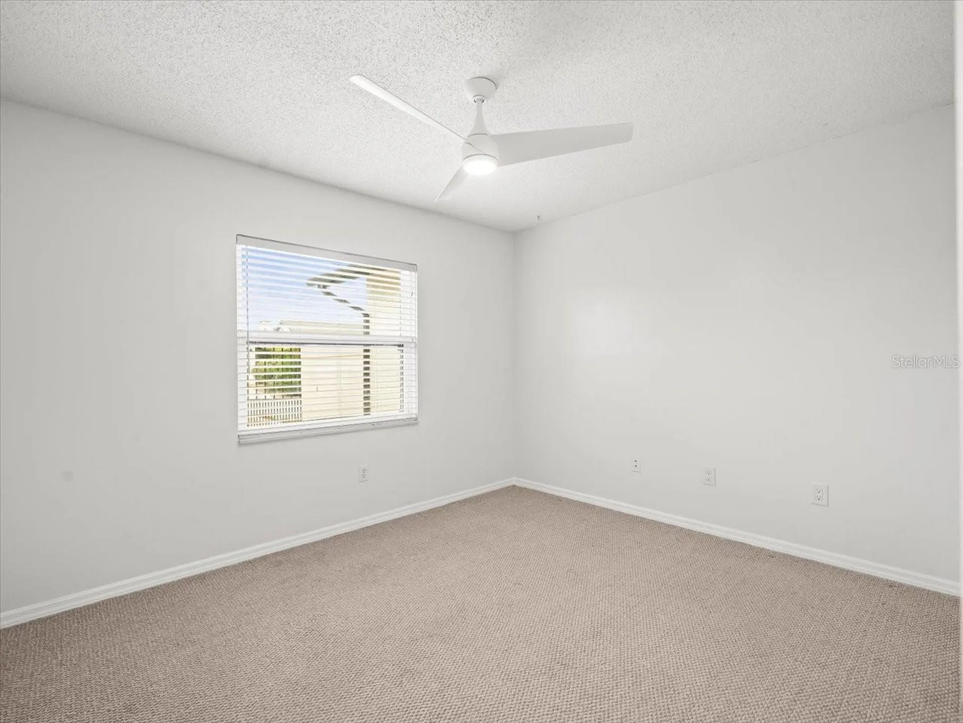 13512 Sobrado Drive Tampa FL 33624