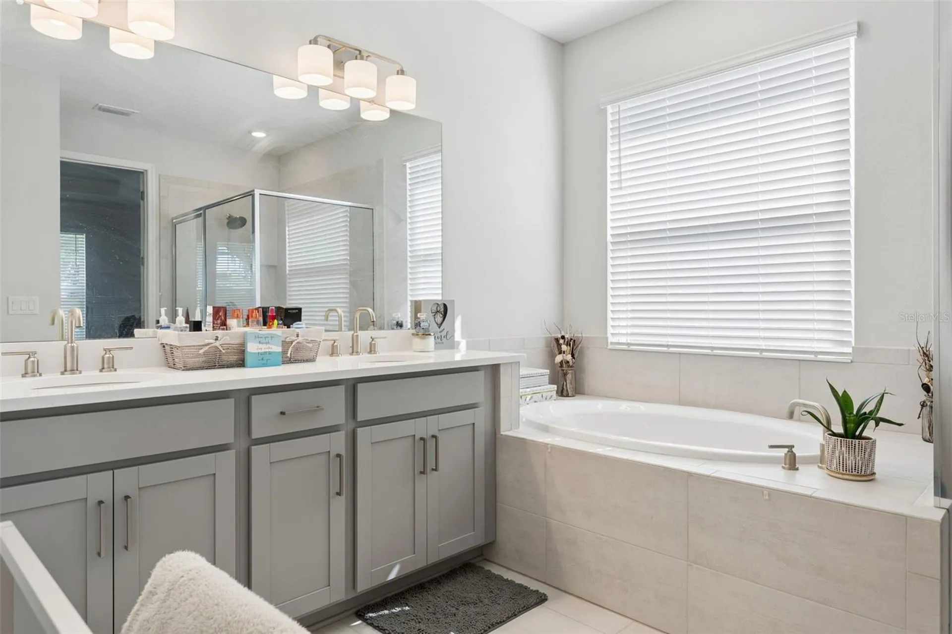 10561 Tranquil Meadow Loop Riverview FL 33569