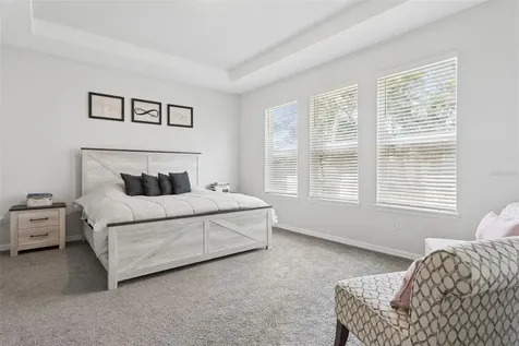 10561 Tranquil Meadow Loop Riverview FL 33569